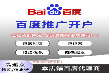 百度推广费用策略在竞争激烈市场的应用案例